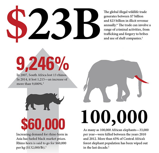 What Can We Do To Stop Illegal Wildlife Trade